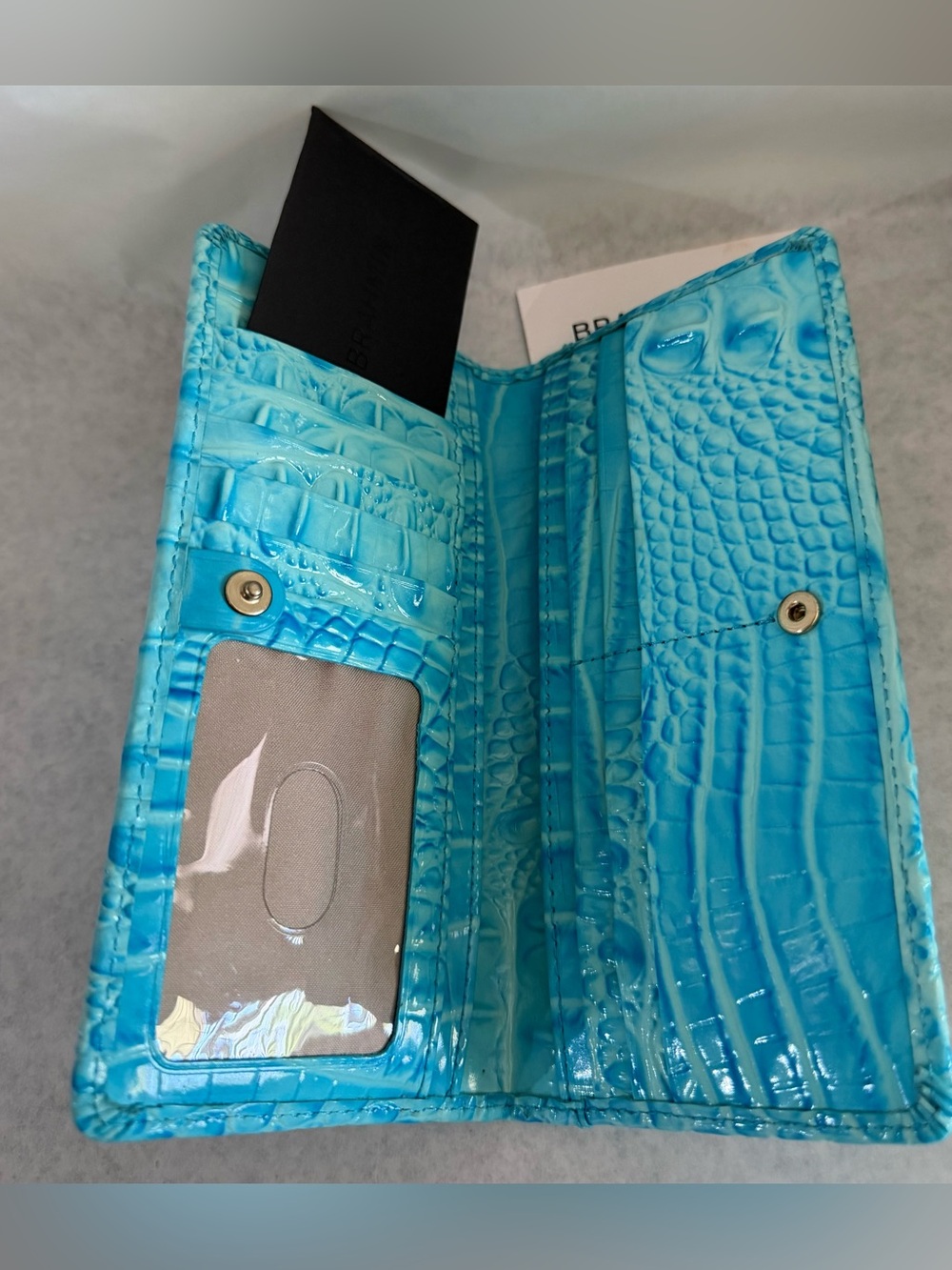 Brahmin - Picture 4 of 4